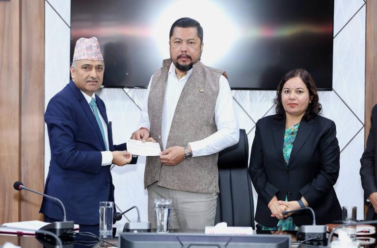भोटेकोशी बाढीपछि विद्युत क्षेत्रको क्षेत्रीय नियमनका लागि आयोगको नेतृत्वमा कार्यदल गठन