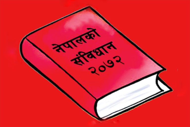 संविधानको रक्षा र लोकतन्त्रका लागि निरन्तर खबरदारी आवश्यक : नागरिक अभियन्ता